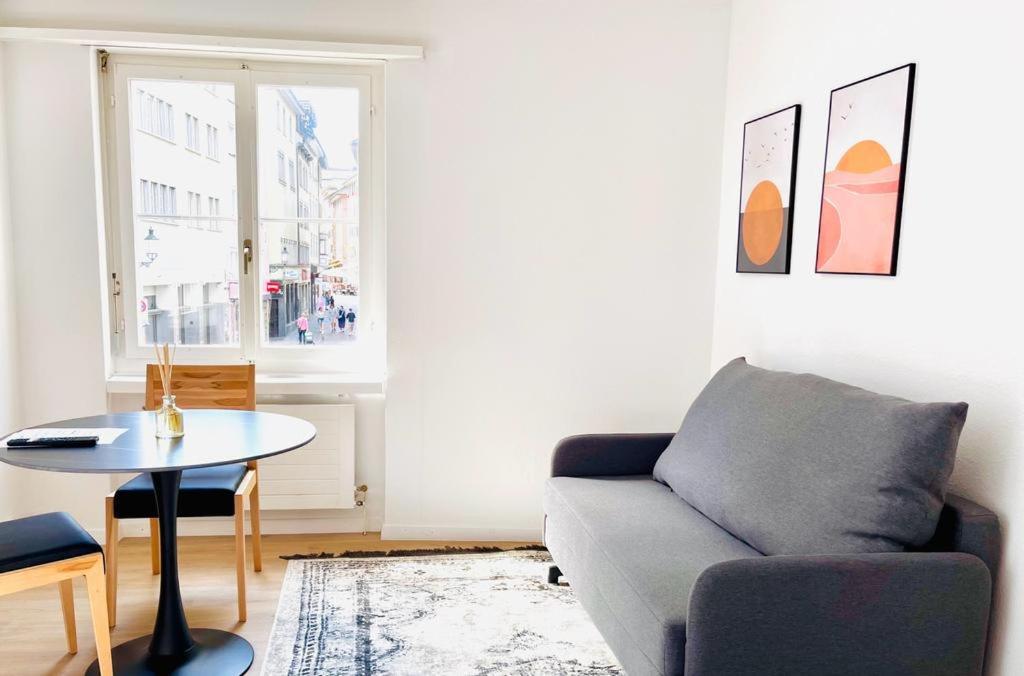 Cozy Studio Apartment Unit 12 In Center Of Zürich Kültér fotó